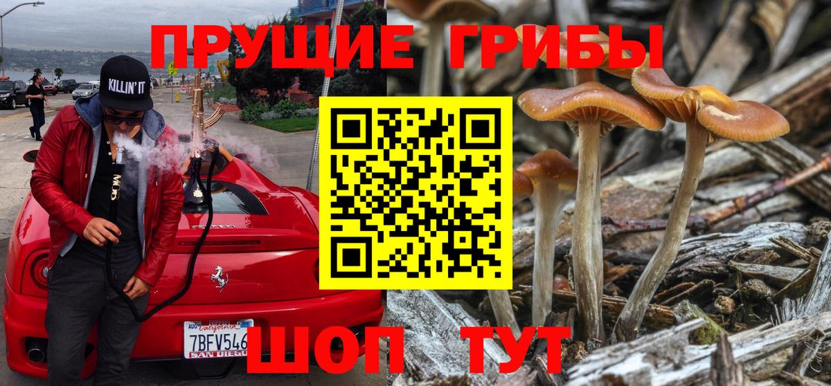 Галлюциногенные грибы MAGIC MUSHROOMS  Вход с VPN  Рыбинск 